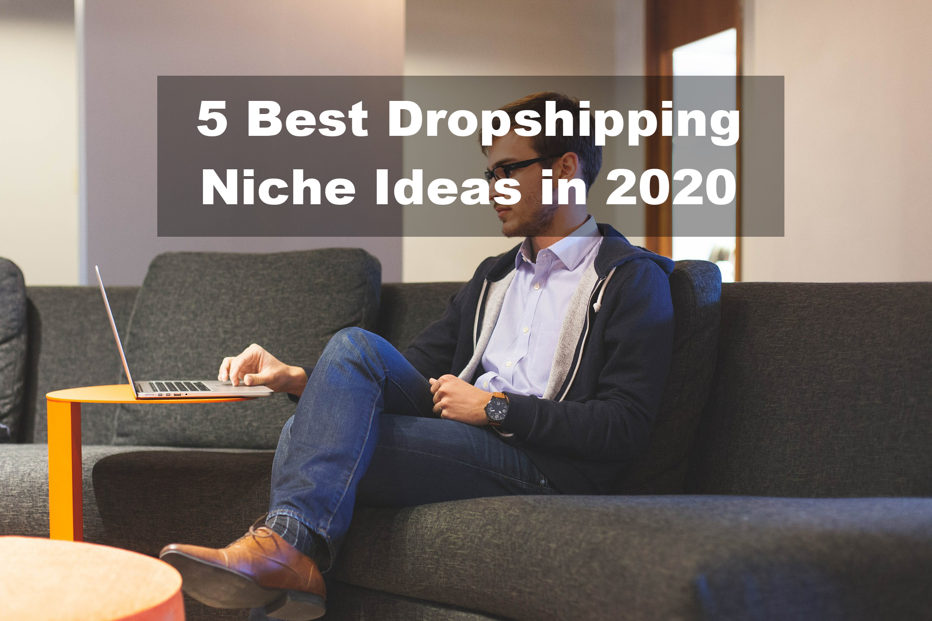 dropshipping niches