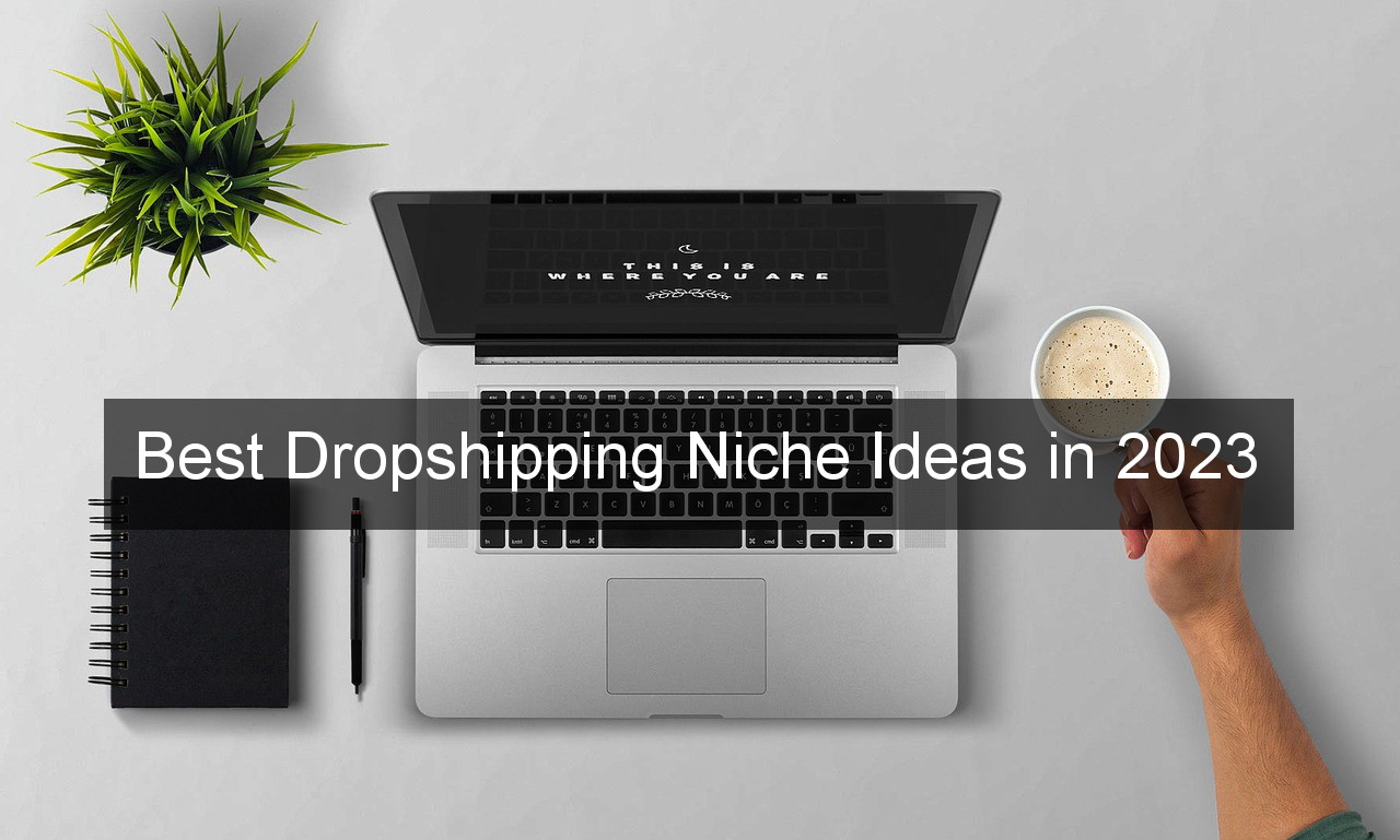 Best Dropshipping Niche Ideas in 2023